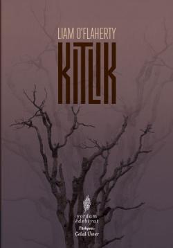 KITLIK (HASARLI)