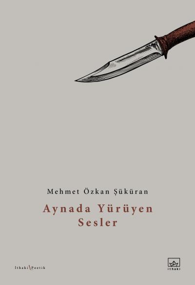 Aynada Yürüyen Sesler - kitap Mehmet Özkan Şüküran
