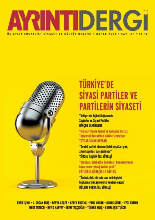 Ayrıntı Dergi Sayı 37 - kitap