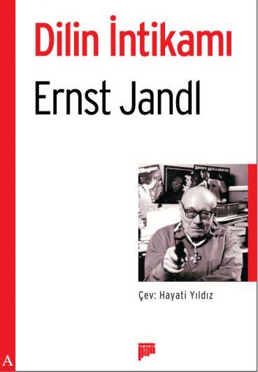 Dilin İntikamı - kitap Ernst Jandl