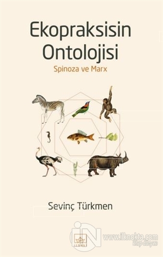 Ekopraksisin Ontolojisi - kitap Sevinç Türkmen