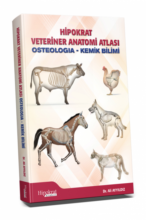Hipokrat Veteriner Anatomi Atlası - kitap Ali Ayyıldız