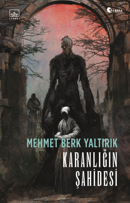 Karanlığın Şahidesi - kitap Mehmet Berk Yaltırık