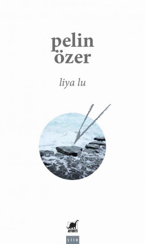 Liya Lu - kitap Pelin Özer