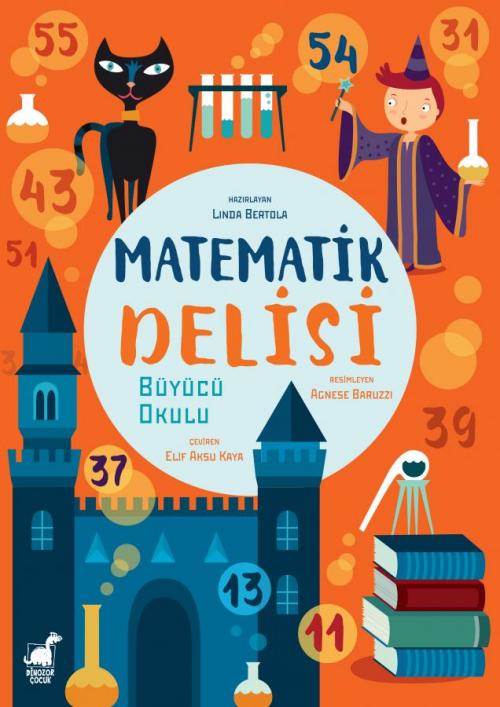 Matematik Delisi - kitap