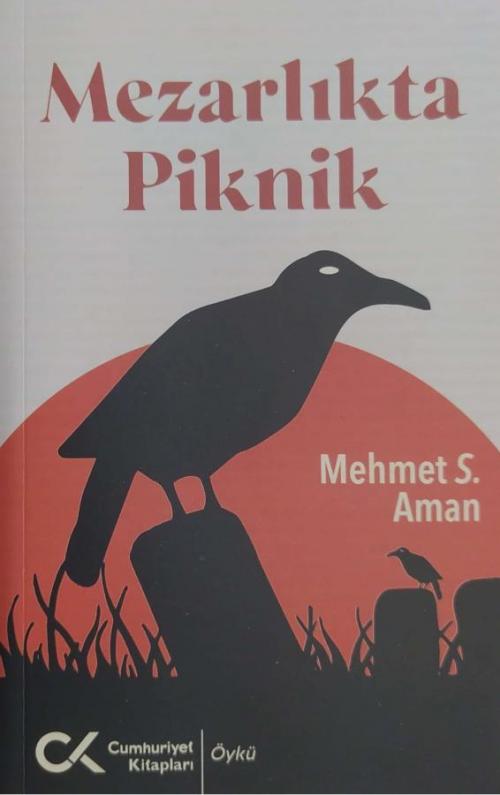 Mezarlıkta Piknik - kitap Mehmet S. Aman