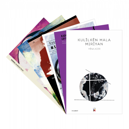 NIVISKARÊN JIN 1-KADIN YAZARLAR 1 - kitap