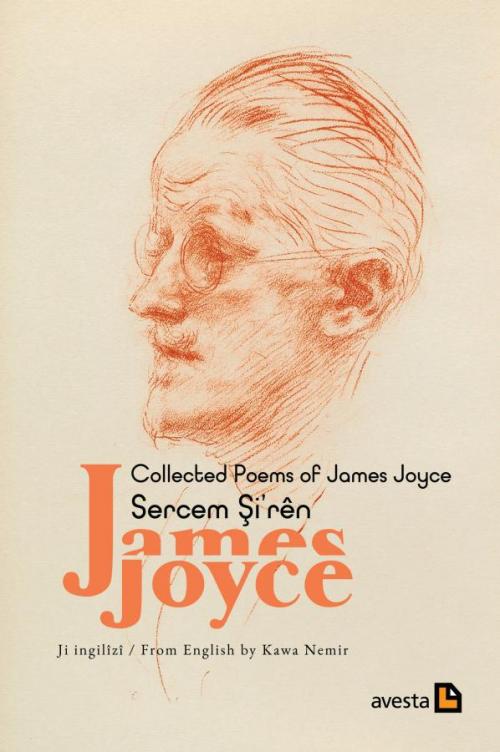 SERCEM ŞI'RÊN JAMES JOYCE / COLLECTED POEMS OF JAMES JOYCE - kitap Jam