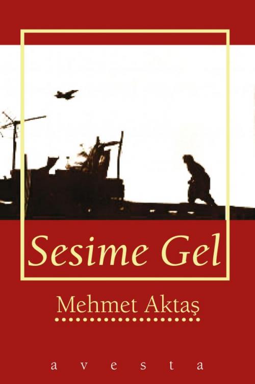 SESİME GEL - kitap Mehmet Aktaş