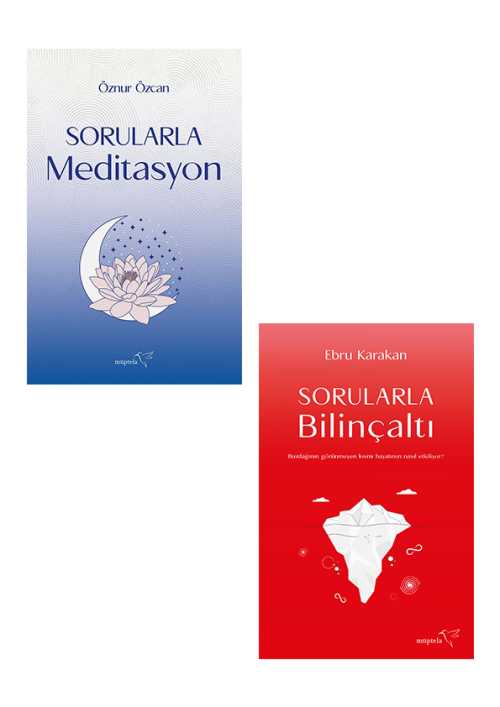 Sorularla Serisi 2 Kitap Takım - kitap Ebru Karakan
