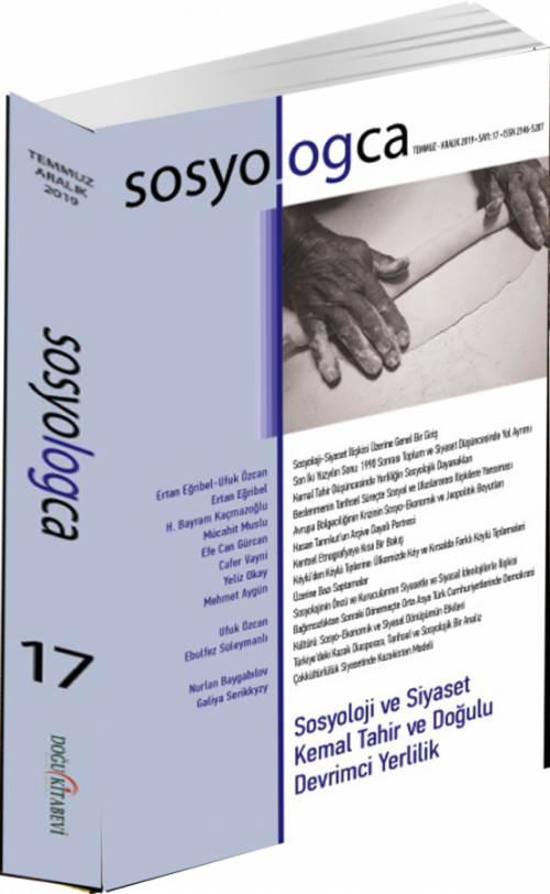 Sosyologca Sayı 17 - kitap Kolektif