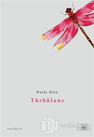 Türbülans - kitap Naile Dire