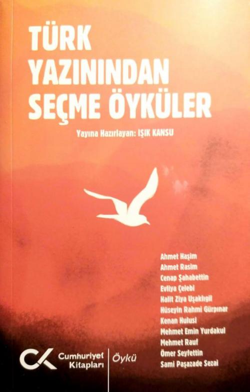 Türk Yazınından Seçme Öyküler - kitap Işık Kansu