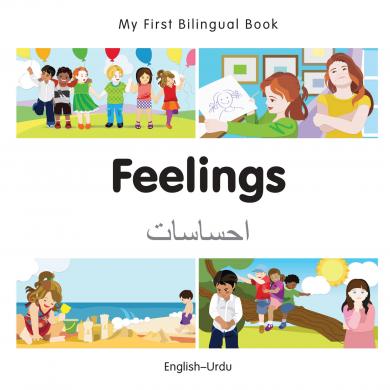 Feelings (English–Urdu)