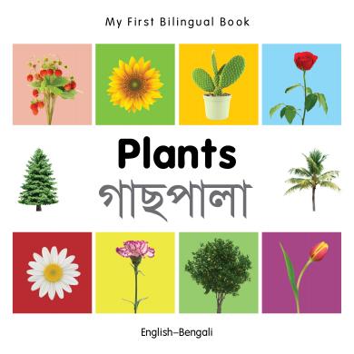 Plants (English–Bengali) Milet