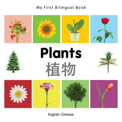 Plants (English–Chinese) Milet