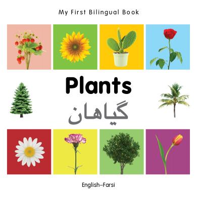 Plants (English–Farsi) Milet