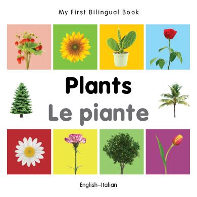 Plants (English–Italian) Milet
