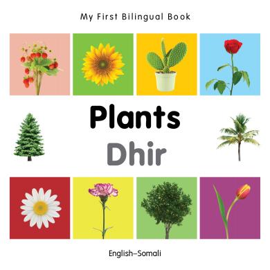 Plants (English–Somali) Milet