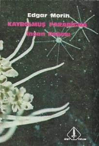 Kaybolmuş Paradigma İnsan Doğası