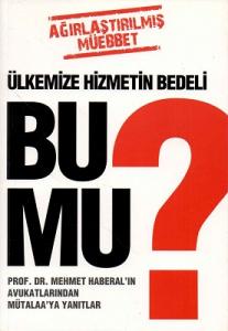 Ülkemize Hizmetin Bedeli Bu Mu? - % 60 İNDİRİMLİ KİTAP