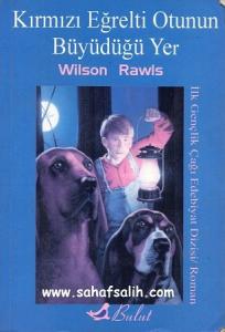 Kırmızı Eğrelti Otunun Büyüdüğü Yer Kırmızı Eğrelti Otunun Büyüdüğü Yer
