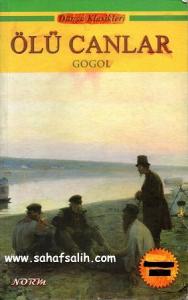 Vadideki Zambak Vadideki Zambak