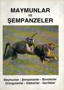 Maymunlar ve Şempazeler Maymunlar ve Şempazeler