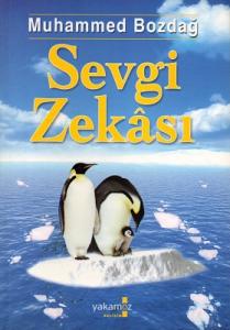 Sevgi Zekası