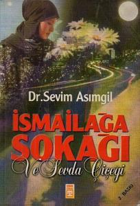 İsmailağa Sokağı ve Sevda Çiçeği İsmailağa Sokağı ve Sevda Çiçeği