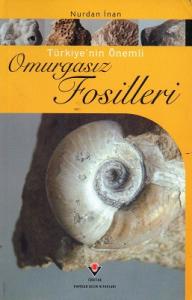 Türkiye'nin Önemli Omurgasız Fosilleri Türkiye'nin Önemli Omurgasız Fosilleri
