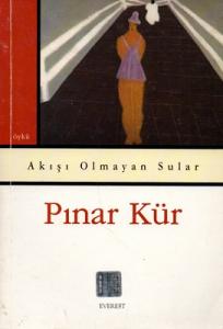 Akışı Olmayan Sular Akışı Olmayan Sular