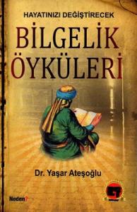 Hayatınızı Değiştirecek Bilgelik Öyküleri Hayatınızı Değiştirecek Bilgelik Öyküleri