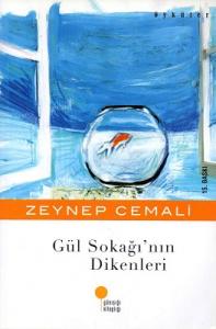 Gül Sokağı'nın Dikenleri 3, 4 Sınıflar Gül Sokağı'nın Dikenleri 3, 4 Sınıflar
