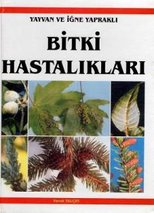 Yayvan ve İğne Yapraklı Bitki Hastalıkları Yayvan ve İğne Yapraklı Bitki Hastalıkları