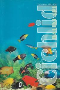 Cichild Balıkları
