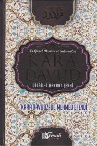Kara Davud | Delail-i Hayrat Şerhi Kara Davud | Delail-i Hayrat Şerhi