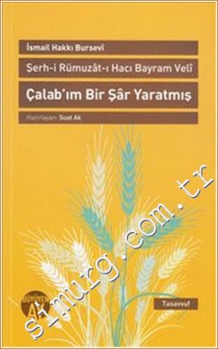 Çalab'ım Bir Şar Yaratmış: Şerh-i Rümuzat-ı Hacı Bayram Veli -