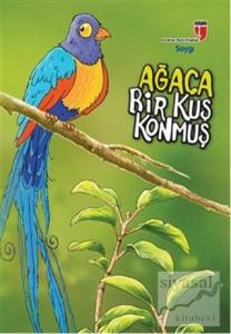 Ağaca Bir Kuş Konmuş Ağaca Bir Kuş Konmuş