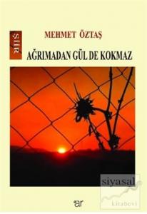 Ağrımadan Gül De Kokmaz