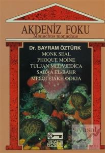 Akdeniz Foku Monachus Monachus