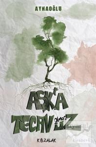 Aşkta Tecavüz Olmaz