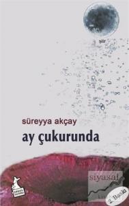 Ay Çukurunda