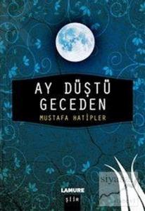 Ay Düştü Geceden