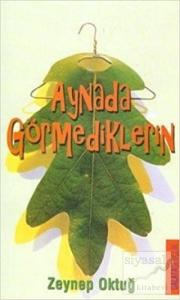 Aynada Görmediklerin