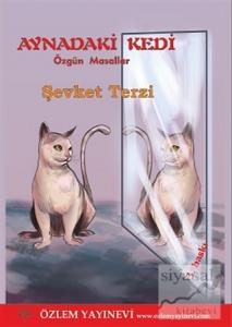 Aynadaki Kedi
