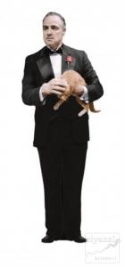 Baba - Lazer Kesim Ayraç