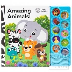Baby Einstein: Amazing Animals!