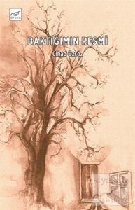 Baktığımın Resmi