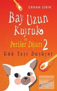 Bay Uzun Kuyruk ve Periler Diyarı 2 - Gök Taşı Düşüyor